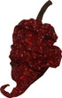 Wicked Reaper Wicked Tickle Carolina Reaper Chili Peppers, World's Hottest Dried Spice 10 Pack + 2 Free