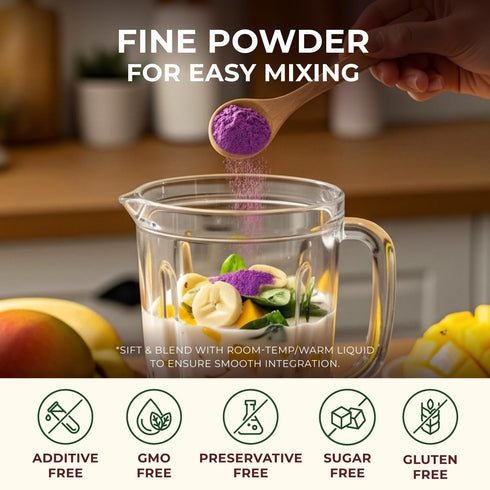 0.55 lb (8.81 oz) Gya Tea Co Purple Sweet Potato Powder - Natural Greens Superfood for Baking, Beverages, Smoothies