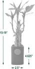 Arcadia Garden Products 5-Stem Lucky Bamboo, Live Indoor Plant in Contour II Ceramic Planter for Home, Work, or Gift