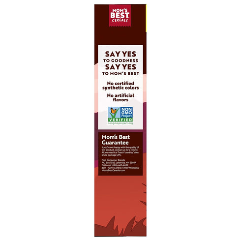 Mom's Best 22 oz (Pack 10) Moms Best Raisin Bran Whole Grain Cereal with No Artificial Flavors, Box