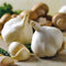 Fresh Himalayas Organic Garlic 15 Bulbs Grew ON HIGH Altitude Fresh Himalayan Garlic Bulb