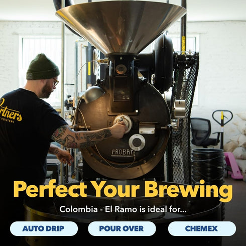 12oz (2 pack) PARTNERS COFFEE ROASTERS - Whole Bean Coffee (El Ramo - Colombian, Light Roast) - Sweet Colombian Blend