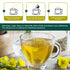 30 Mullein Leaf Tea Bags - Lungs Cleanse and Respiratory Support, Herbal Teas, Caffeine Free, Tea Bags