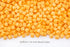 5 lb 1/4 Inch Prompt Prep High Temperature Diced American Cheese, Bulk Bag | Cubes | Mild Flavor | Ideal for Grilling