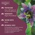 16 Organic Positively Botanicals Company, Passion Flower, Herbal Tea Loose Leaf Botanical, Ounce