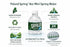 Macouba 24 Pack 8 oz Poland Spring Water Bottles - Small Mini Bottles - Poland Spring Bottled Water