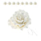 Global Sugar Art Aussie Rose White Sugar Cake Flower Large, 8 Count