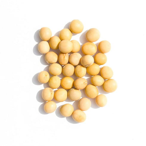 4 (Pack 1) ROM AMERICA Premium Soybeans for Soy Milk, Tofu, Tempeh, Miso, Soy Protein Powder, Japanese Natto - Pound
