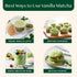 VAHDAM Vanilla Matcha Green Tea Powder - 1.76oz, Pure Madagascar Vanilla + Premium Japanese Matcha