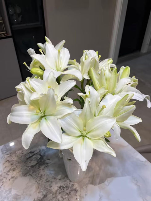 Cassiolina 20) Fresh Cut Asiatic Lily Flowers Elegant Lily Bouquet for Vase Home Decor Wedding Party Floral Arrangement