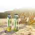 10.1 oz (Pack 12)) Plis Coconut Water Lemonade or Limeade w/Natural Juice and Coconut, FL Bottles (Coconut Lemonade