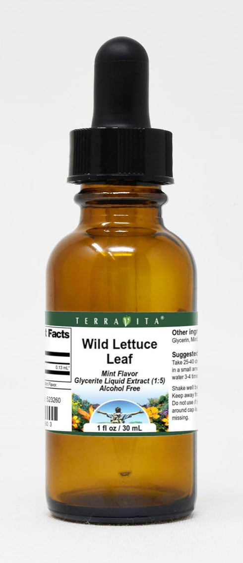 Terravita Wild Lettuce Leaf Glycerite Liquid Extract (1:5) - Mint Flavored (1 oz,