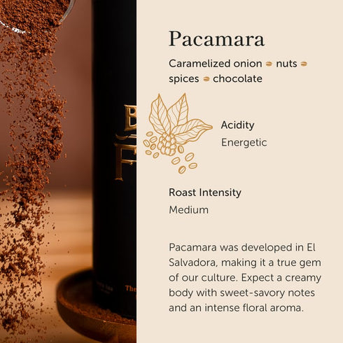 (16 oz) Bean of Fire El Salvador Pacamara Honey Ground Coffee Medium Roast, Single Origin Specialty, Creamy & Nutty Cup