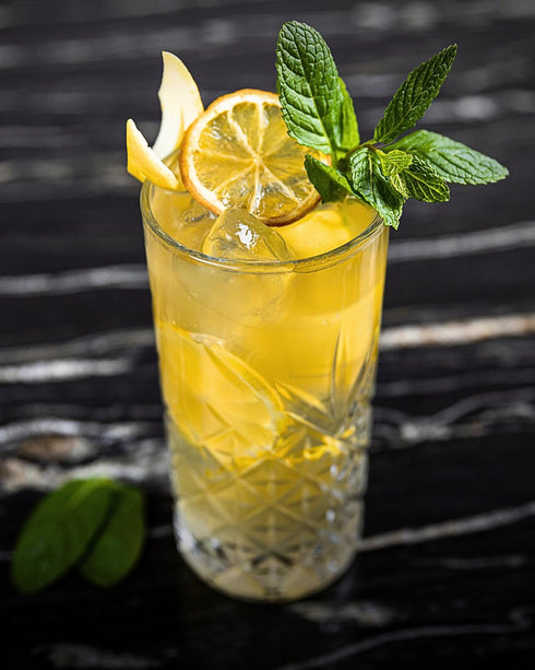 40 Dried Lemon Slices | Slices | Preserved Peel Premium DRIED FRUITS for Luxury Cocktail Garnishes for Establishments