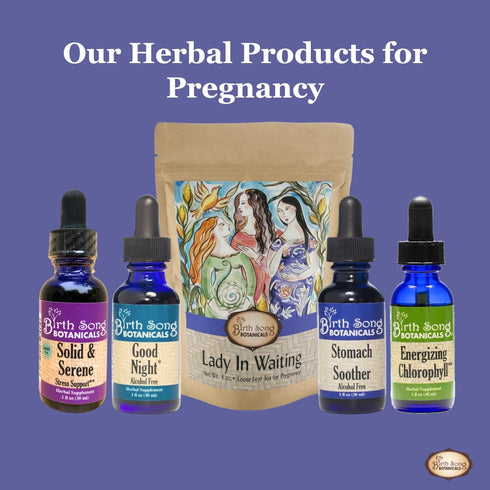 30 Birth Song Botanicals Lady in Waiting Pregnancy Tea Organic Red Raspberry Leaf Tea for Third Trimester Support
