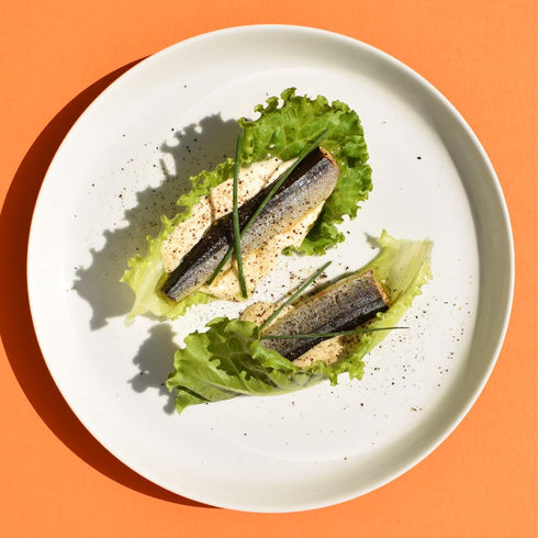 Ati Manel 3 120g (3 pack) Garfish in Olive Oil | x Tinned Fish | Canned in Olive Oil
