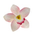 3 Count Global Sugar Art Cymbidium Orchid Sugar Cake Flowers, Pink, by Chef Alan Tetreault