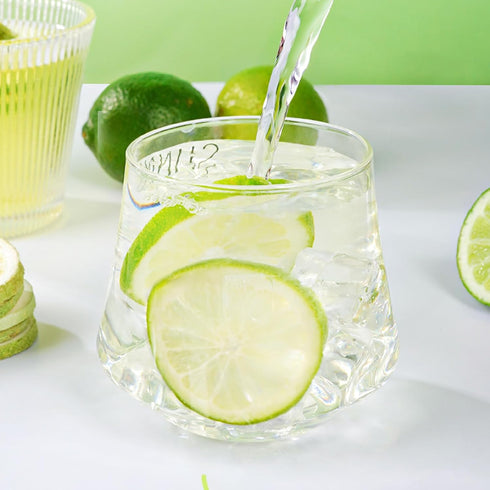 Haomly Slices.2.8oz(80g),Dehydrated Desserts,100% Freeze-dried Seedless Lime Limes for Cocktails,Tea, Snacking, Baking