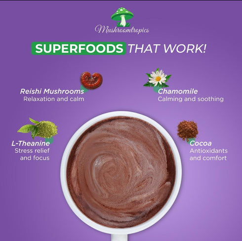 Dreamy Hot Cocoa Blend Mix Organic Mushroom Coffee with Reishi, L-Theanine, Chamomile & Adaptogens, Organic, Non-GMO