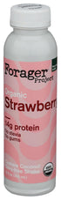 FORAGER PROJECT Organic Strawberry Plant-Based Protein Shake, 12 FZ