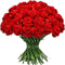 FlowerPrime 50 Red Carnations - Fresh Natural Cut Flowers