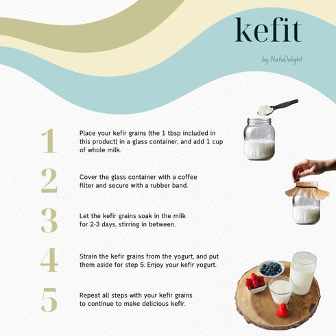 NatuDelight 1 Kefit - Live Milk Kefir Grains, TBSP Starter Culture for Home Production