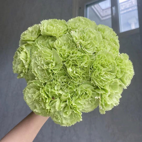 38 Green Carnation Flowers Hydroponic Flower Arrangement Mothers Day Gift Home Decor Birthday Anniversary Healing