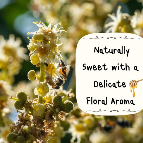 Generic 150g 3 Longan Flower Honey Thai Single-Origin Honey from Longan Blossom, Mild Fruity Aroma, x