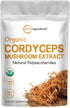 Organic Cordyceps Mushroom Extract Powder, 8 Ounces | 100:1 Fruit Body &