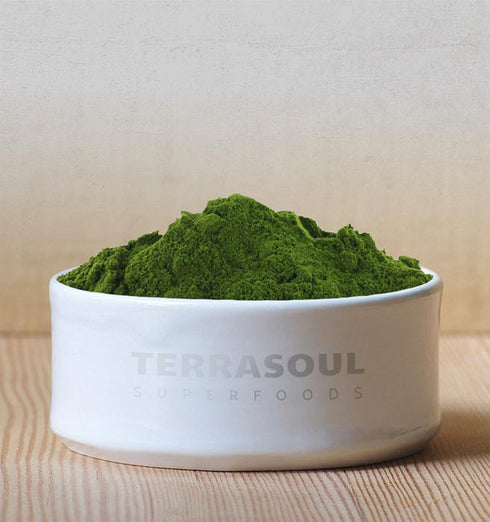 Terrasoul Superfoods Organic Wheat Grass Juice Powder, 5 Oz, Nutrient Concentrated Juice, Smoothies, Detox Drinks