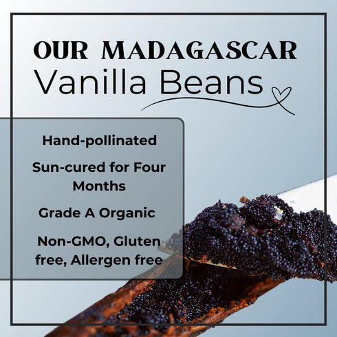 1.8 lbs 1 Pack 27 Oz Organic Madagascar Vanilla Ultra-fine Sugar | For Chefs, Home Cooking, Ice Cream, Cocktails
