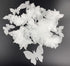 50Pcs Edible Wafer Cupcake Toppers, Cake DIY White Blank Butterfly Cake Decoration Birthday Mix Size
