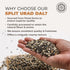 3 Pride Of India - Indian Split Black Gram Matpe Beans - Protein & Fiber Rich Urad Dal, Pound Jar