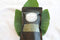 Goshen Farms 1 oz Organic Dried Fig leaves by