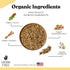 AutoimmuniTea 15 Digestive Tea Leaky Gut Blend by Overall Digestive Support, and Stomach Sooth, Made of Organic