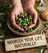17 oz. Pack 2 Ellora Farms, Extra Virgin Olive Oil, Single Estate PDO Crete, Greece, Traceable and High Polyphenol
