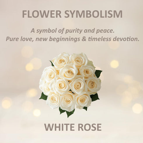Generic Dozen 12 50CM/19.69IN) One Fresh Roses Bouquet, Premium Long-Stem Ecuador Roses, Hand-Tied Floral Arrangement