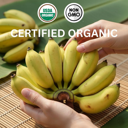 2 LB Pack 2 lbs Organic Sun Dried Banana Slices Value - No Sugar Added - No Preservatives - Unsulfured - Soft and Chewy
