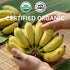 Pack (16 OZ Organic Sun Dried Banana Snacks - Natural Fruit Leather No Sugar Added - No Preservatives - Unsulfured