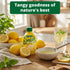 100% 4.5 Oz (Pack 4) Concord Foods Lemon Juice from Concentrate | Lemon Juice for Cocktails, Cooking, Baking