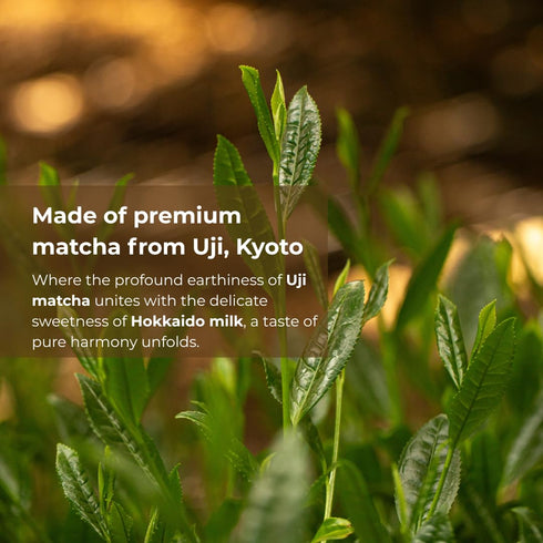 3.88 Oz, Chikiriya Uji Matcha Milk Jam, Premium Green Tea Spread with Hokkaido Milk, No Preservatives