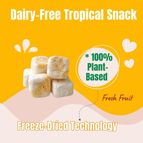 (3-Pack, 1.76 oz Juju-Oops Freeze-Dried Mango Mylk Crunch Vegan Soy Milk Fruit Bites with Real Mango Pieces | Healthy