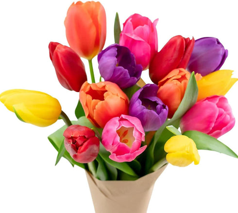 Stargazer Barn 15 Stem Rainbow Tulips Bouquet Mothers Day Flowers for Mom