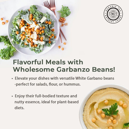 10mm 1.5 Pride Of India - Indian Whole White Garbanzo Beans - Protein & Fiber Rich Kabuli Chana, Pound Jar