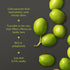 33.8 Oz, 0.2% 1 Mina Moroccan Olive Oil Extra Virgin Fl New Harvest, Polyphenol Rich Olive Oil, Single Origin Extra