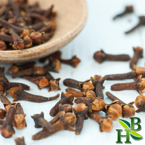 4 oz Herb To Body Whole Cloves -Eugenia Caryophyllata, Finely Ground Cloves for Cooking, Baking, Clove Tea & Spice