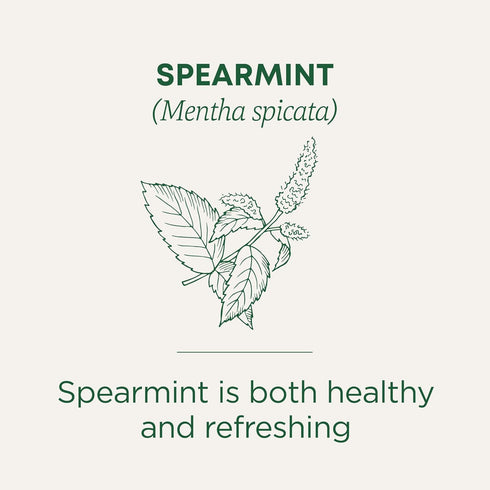 16 Traditional Medicinals Organic, Spearmint Tea - Supports Everyday Wellness, Healthy & Refreshing - Kosher, Non-GMO