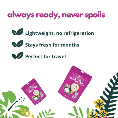 (Pack 3) NOKKI FARM Freeze Dried Mangosteen - Healthy & Exotic Tropical Fruit Snacks, No Added Sugar or Preservatives