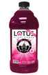 Lotus Plant Power Skinny Pink Lotus Plant Energy Drink Concentrate | Zero Sugar | 64