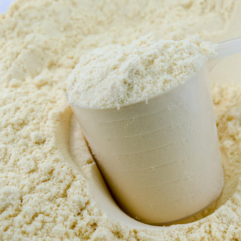 (1.4 GranAroma Honey Powder, Sweet Flavor, Natural, Cooking & Baking Pound)